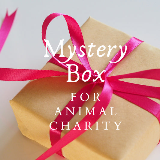 Mystery jewelry surprise box for animal charity • 4 surprise items